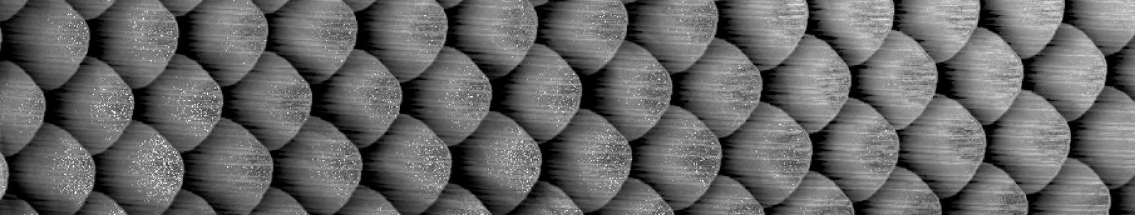 Test Render of Mechanical Fish Scales