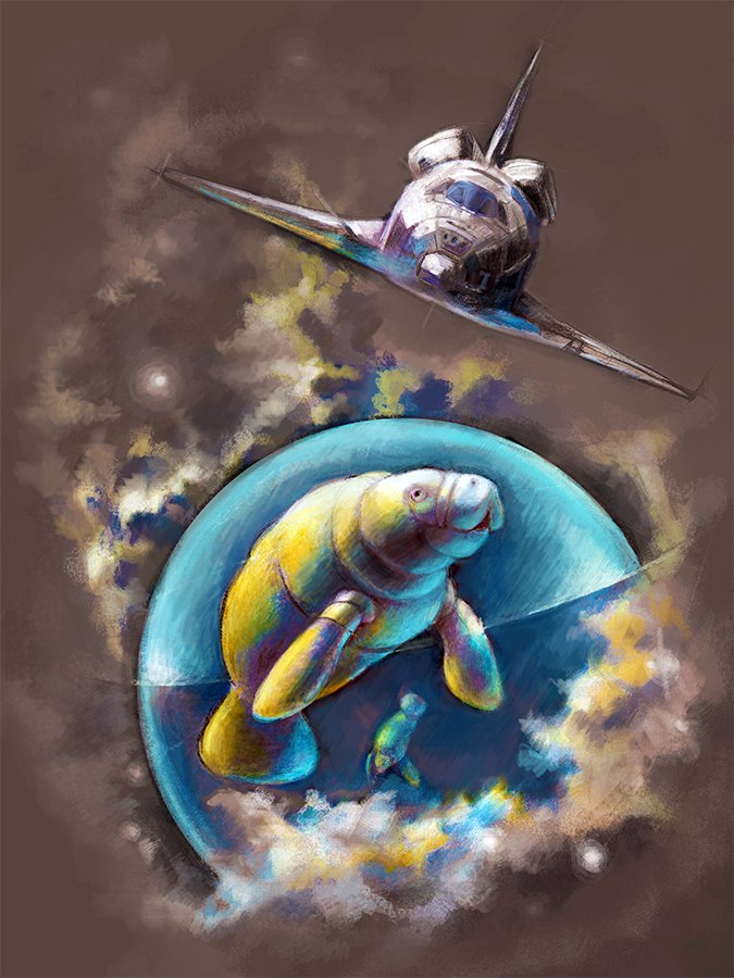 Shuttle Manatee