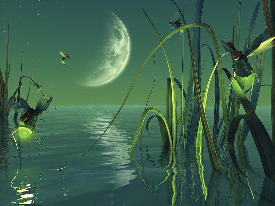 Electric Fireflies