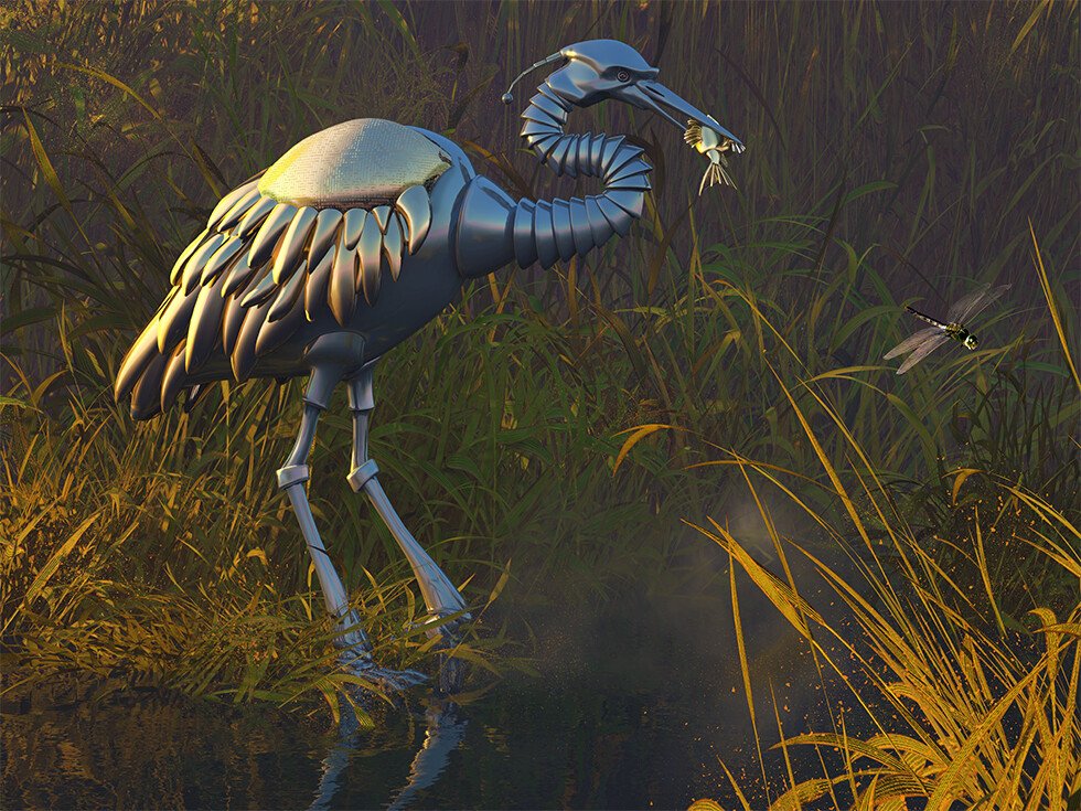 Phishing, Second Concept